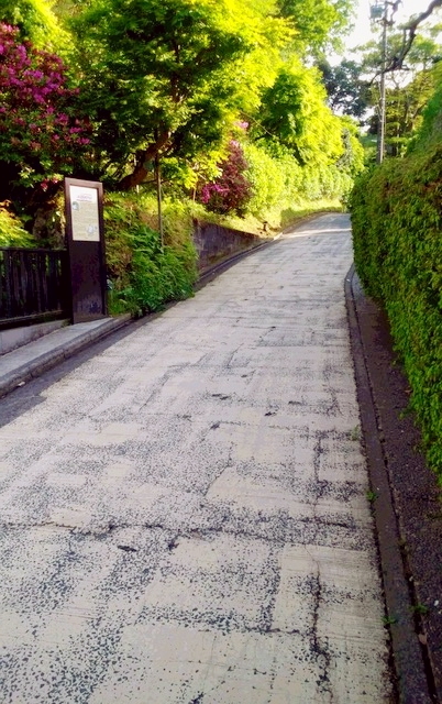 kamegaya